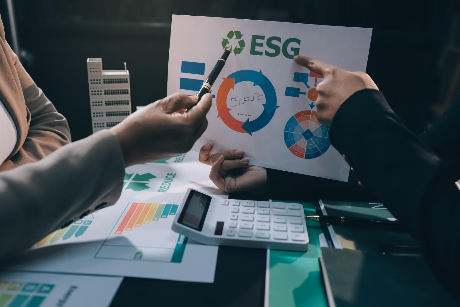 ESG Head / Reporting Lead